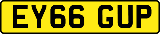 EY66GUP