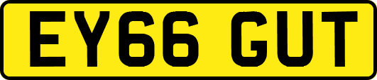 EY66GUT