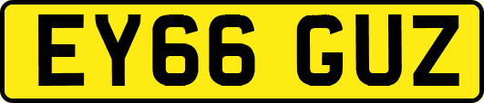 EY66GUZ