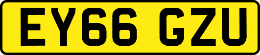EY66GZU