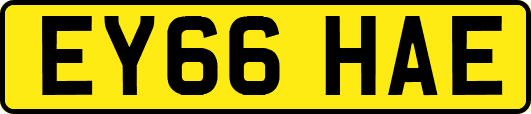 EY66HAE