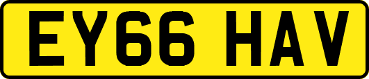 EY66HAV