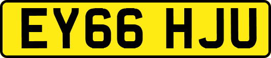 EY66HJU