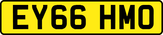 EY66HMO