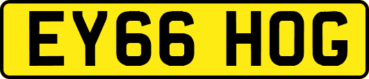EY66HOG