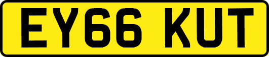 EY66KUT