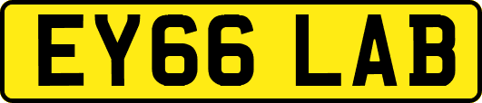 EY66LAB