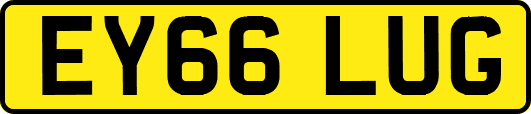 EY66LUG