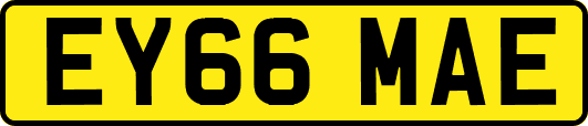 EY66MAE