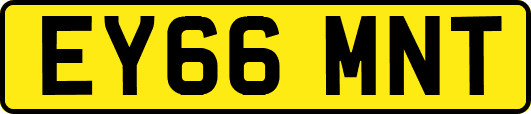 EY66MNT