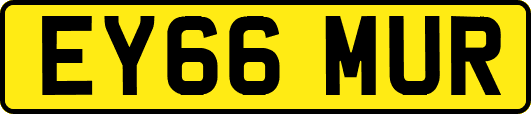 EY66MUR
