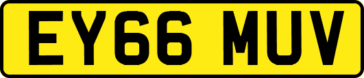 EY66MUV