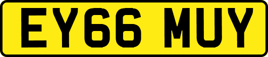 EY66MUY