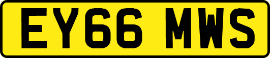EY66MWS