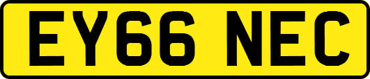 EY66NEC