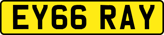 EY66RAY
