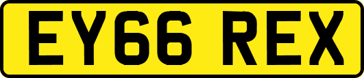 EY66REX