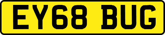 EY68BUG