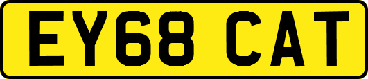 EY68CAT