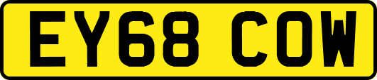 EY68COW