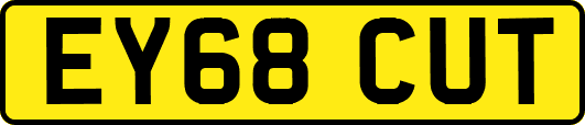 EY68CUT