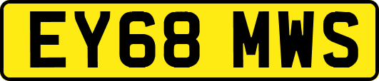 EY68MWS
