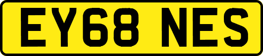 EY68NES