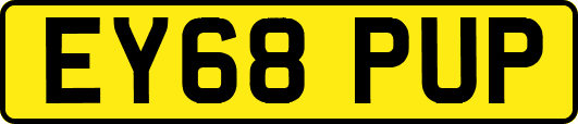 EY68PUP