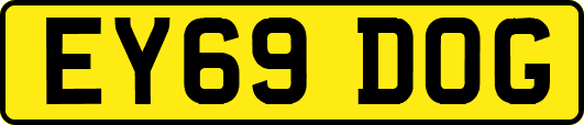 EY69DOG