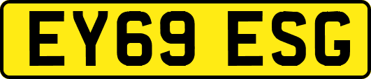 EY69ESG