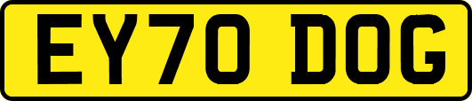 EY70DOG