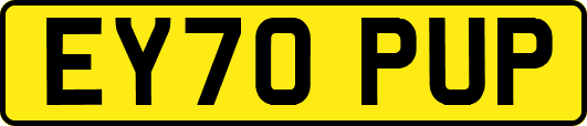 EY70PUP