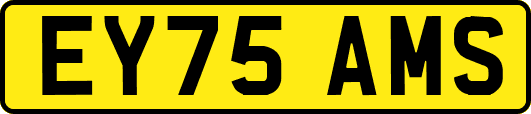 EY75AMS