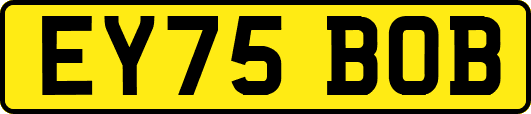 EY75BOB