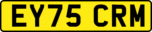 EY75CRM