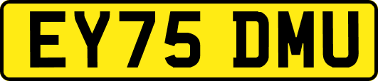 EY75DMU
