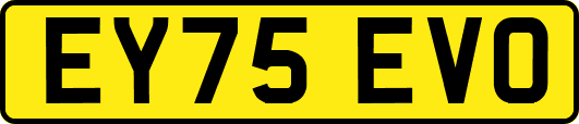 EY75EVO