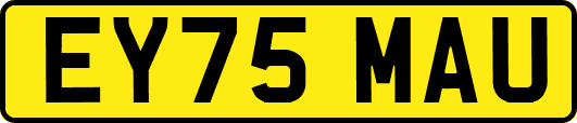 EY75MAU