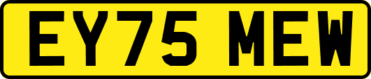 EY75MEW