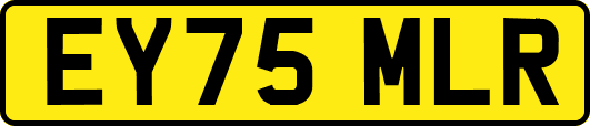 EY75MLR