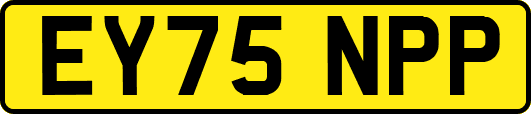 EY75NPP