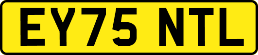 EY75NTL