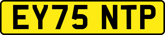 EY75NTP