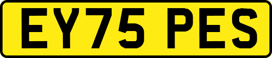 EY75PES