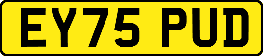 EY75PUD