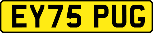 EY75PUG
