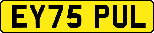 EY75PUL