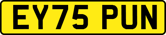 EY75PUN