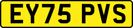 EY75PVS