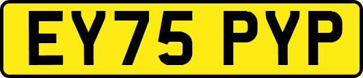 EY75PYP